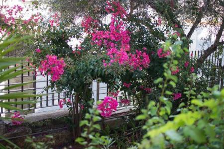 Glyfada Riviera Home Афіни Екстер'єр фото