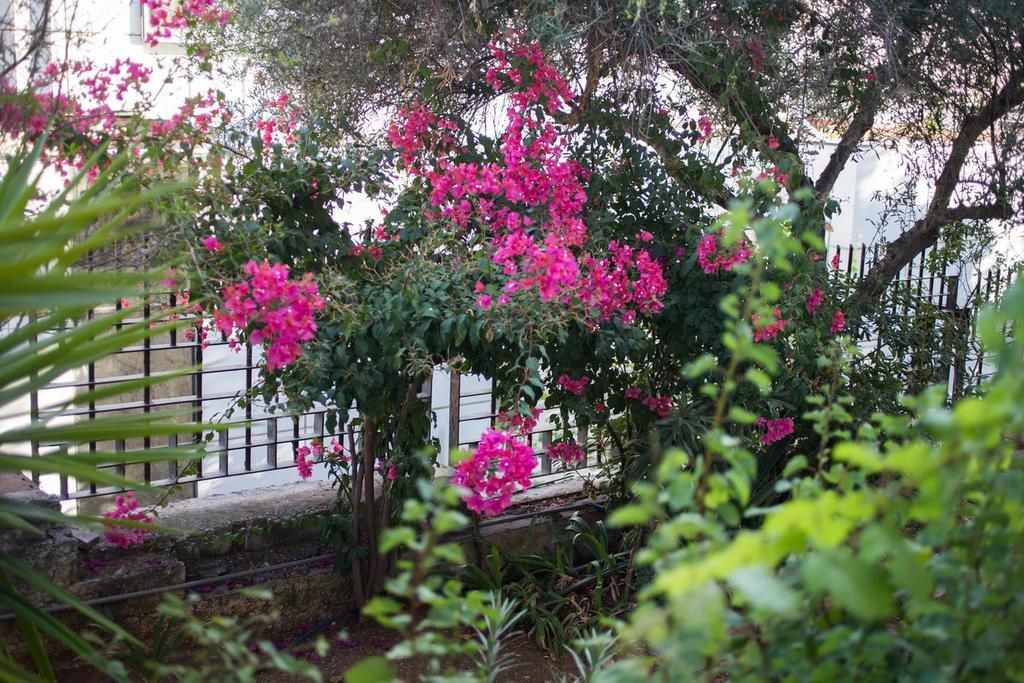 Glyfada Riviera Home Афіни Екстер'єр фото